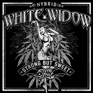 Seven Leaf White Widow Strain Sticker